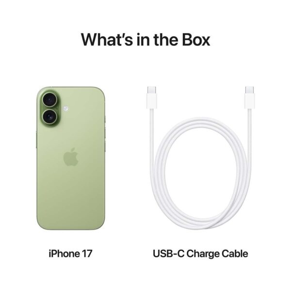 327858 7 b (1)