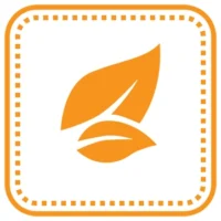 p3c p3c