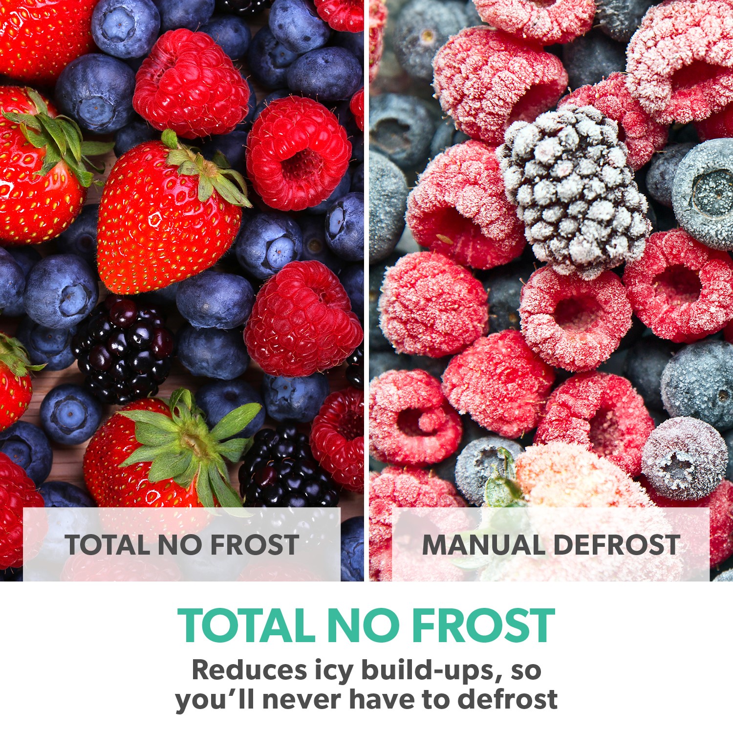 eiQ54MDFFINOX 10 Supersize