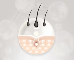 4981146 box2 11zon 4981146 box2 11zon