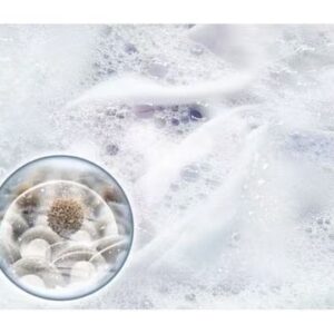 box3 11zon box3 11zon