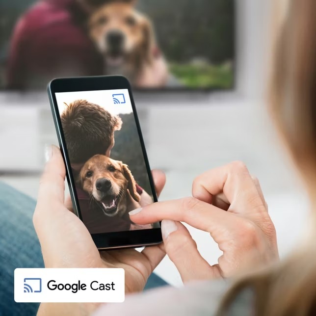 ast 2429723 12 11zon