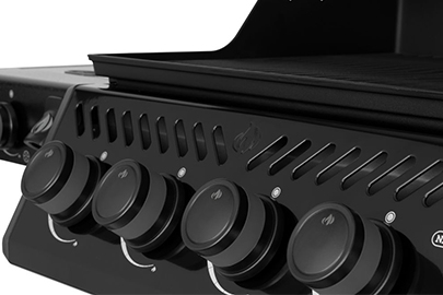 psistaria ygraeriou napoleon freestyle 425dpk 1 homing img2